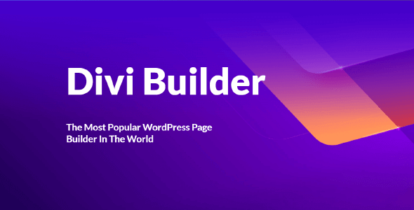 Divi Builder Theme